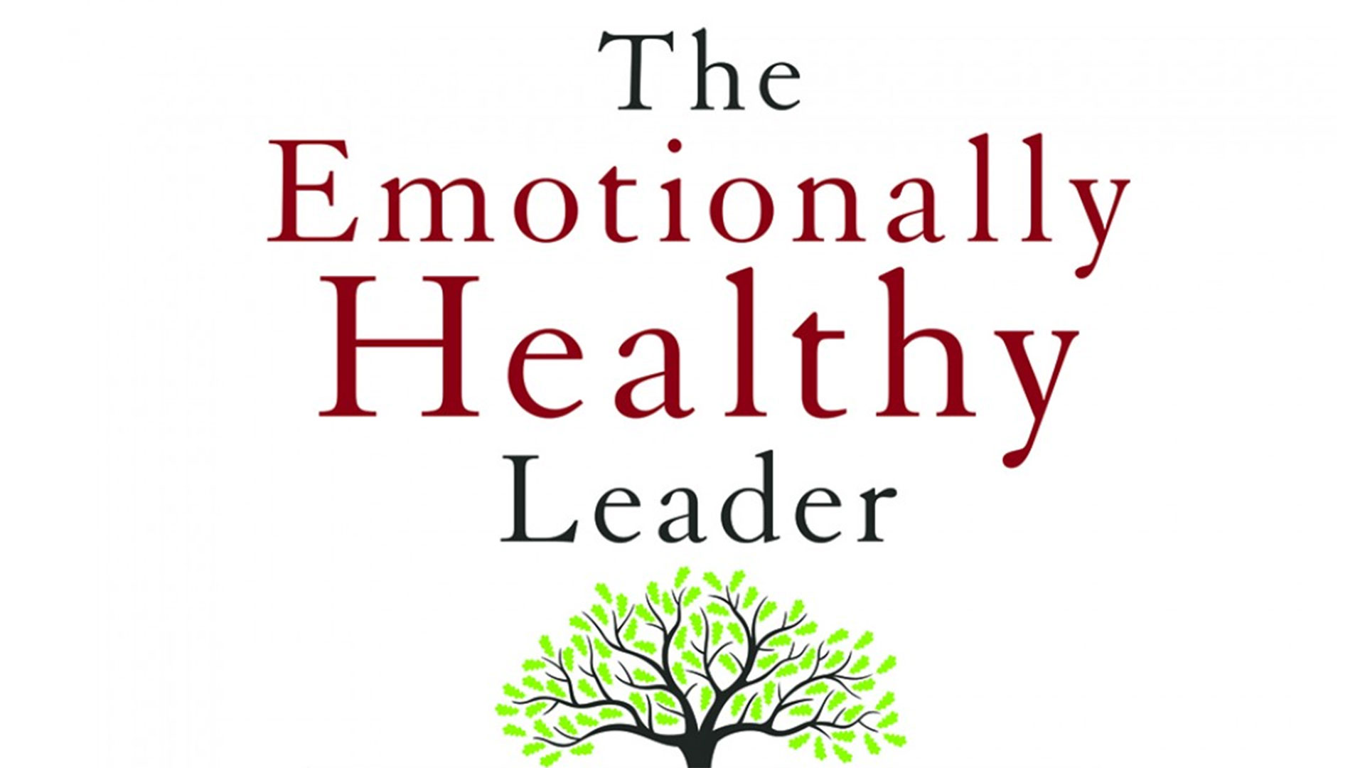 The Emotionally Healthy Leader, by Peter Scazerro